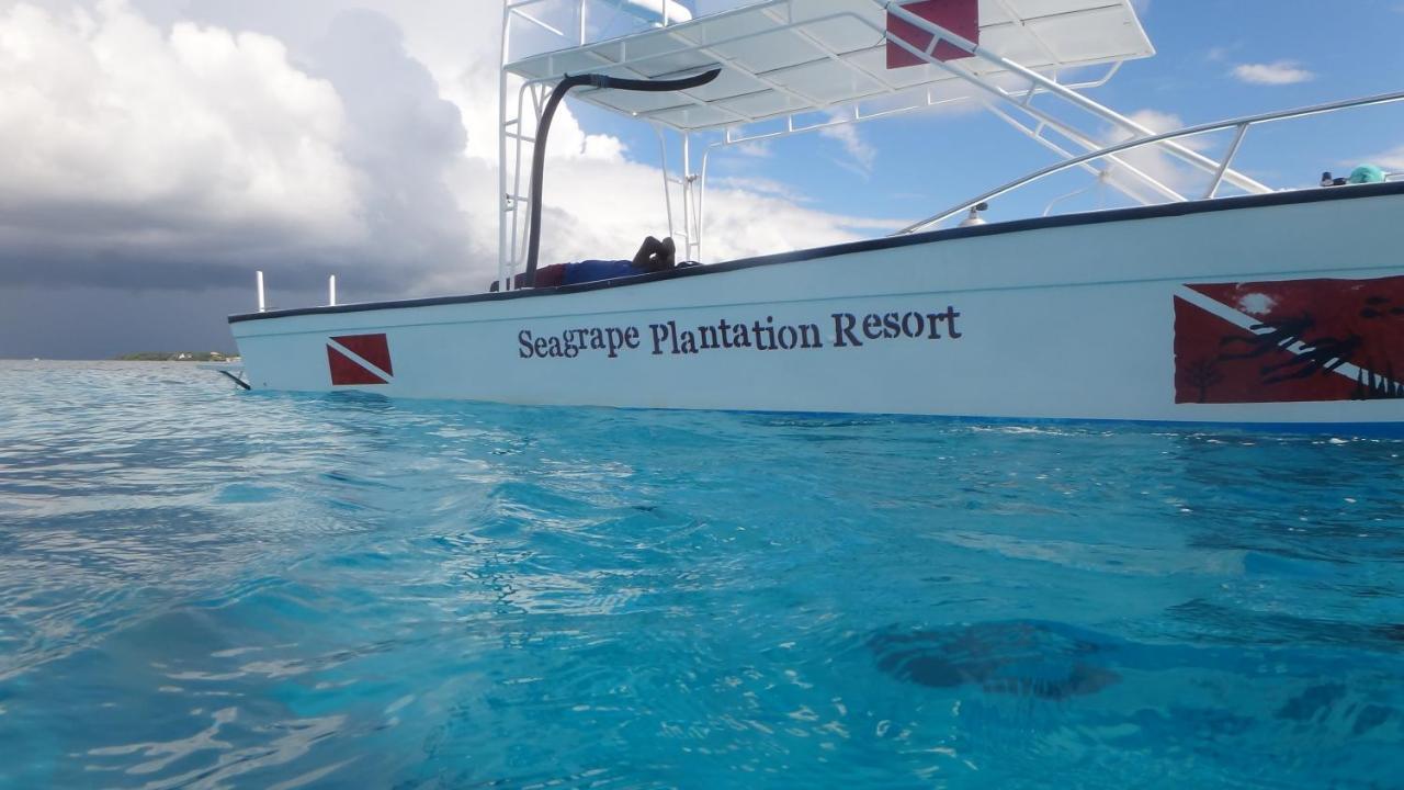 Seagrape Plantation Resort & Dive Center 웨스트 엔드 외부 사진